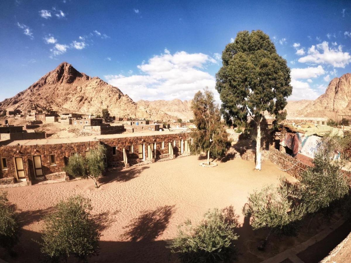 Sheikh Mousa Bedouin Camp Hotel Saint Catherine Exterior photo