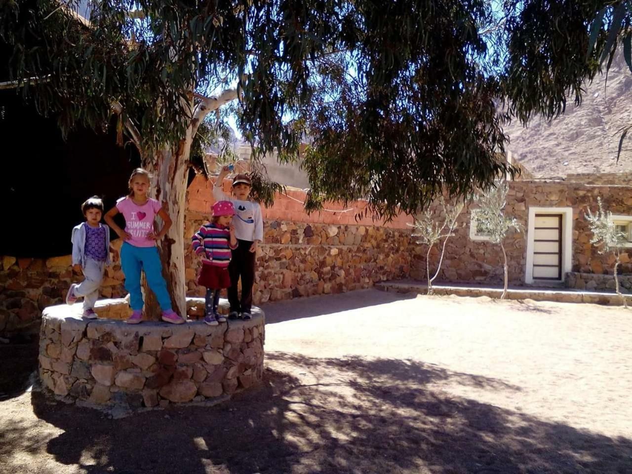 Sheikh Mousa Bedouin Camp Hotel Saint Catherine Exterior photo