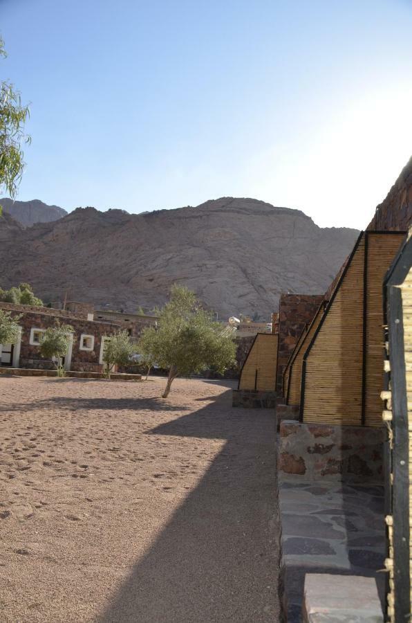 Sheikh Mousa Bedouin Camp Saint Catherine Exterior photo