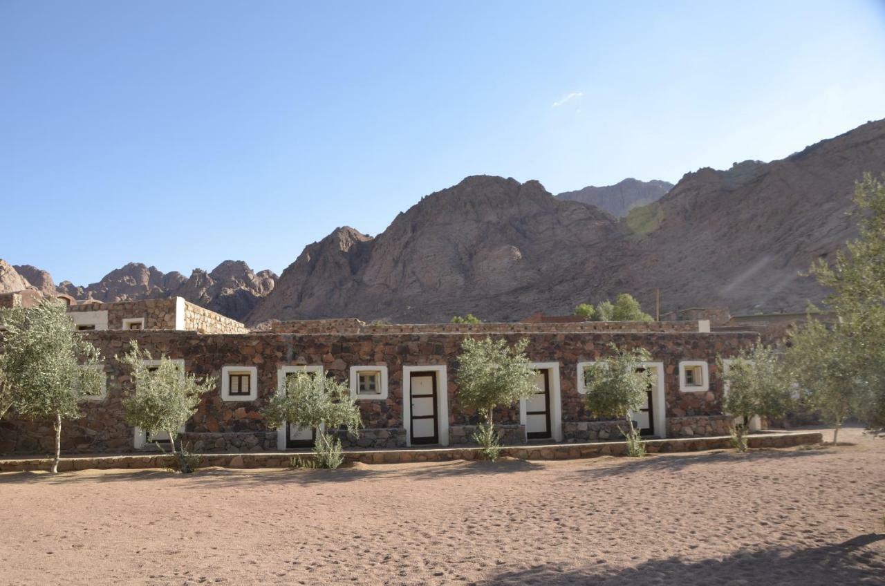 Sheikh Mousa Bedouin Camp Hotel Saint Catherine Exterior photo