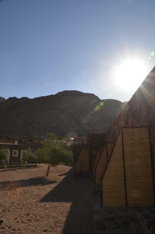 Sheikh Mousa Bedouin Camp Hotel Saint Catherine Exterior photo